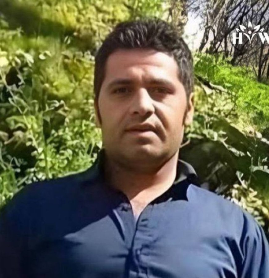 Souran Feyzi-Zadeh