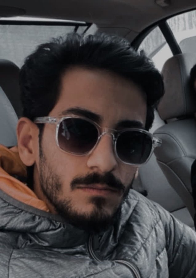 محمد مهدی سیف الله پور