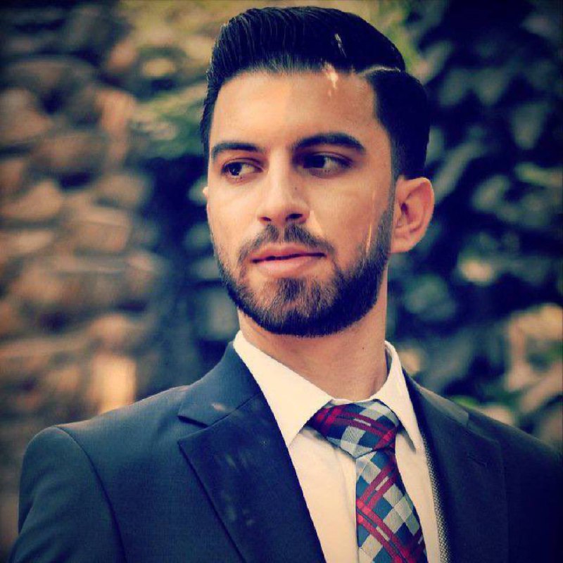 Seyed Hamed Hamidian