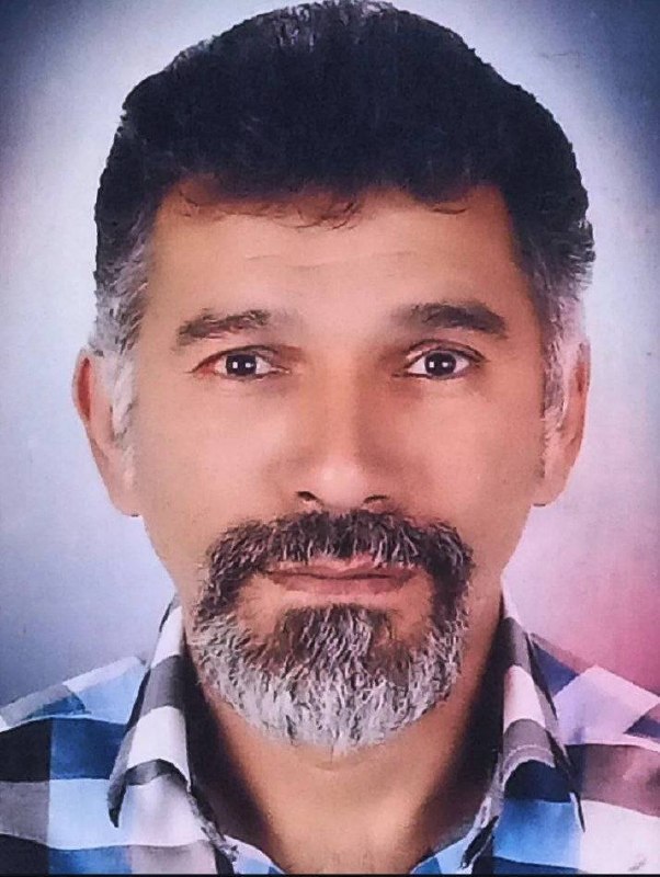 Ramin Veiseh