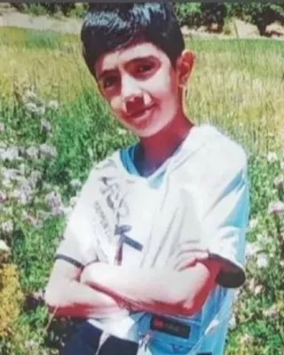 شایان گرجی