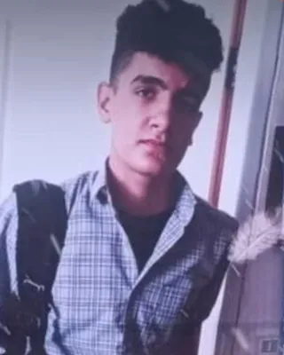 Mohammad Soltanifard