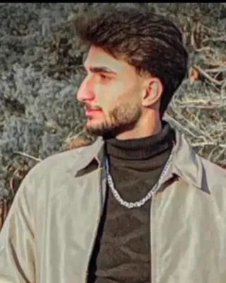 Reza Rostamian
