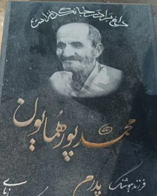 Mohammad Pourhomayoun