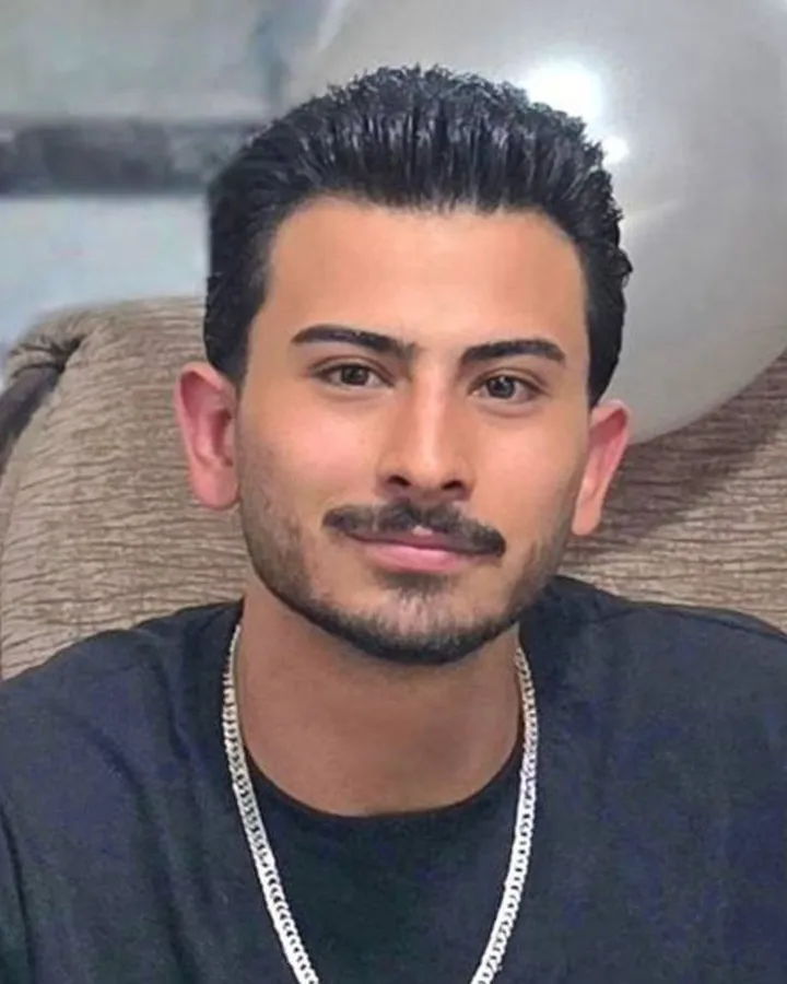Pourya Hamzeh-ai