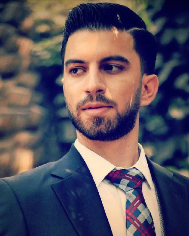 حامد حمیدیان