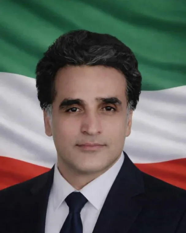 Davood Safaei