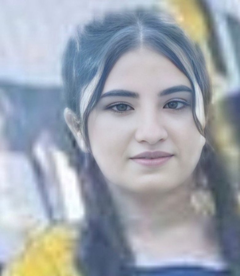 الهام زینلی