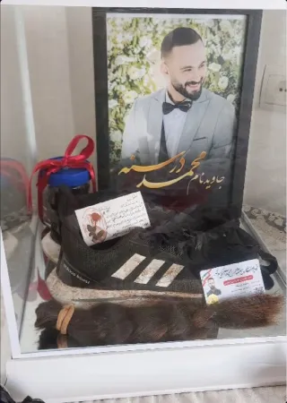 Mohammad Javad Dorsaneh