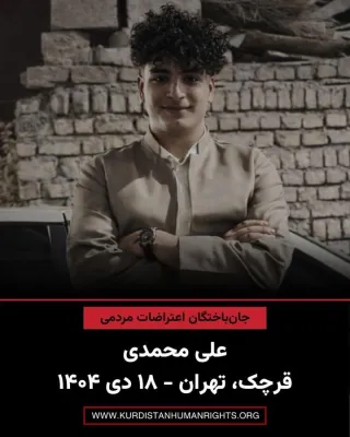 Seyed Ali Mohammadi Motlagh