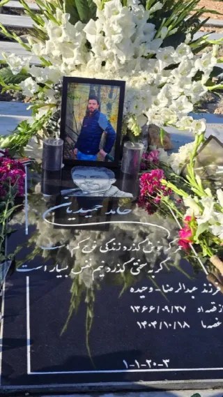 Seyed Hamed Hamidian