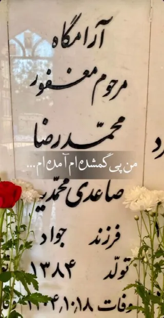 محمدرضا صاعدی محمدیه