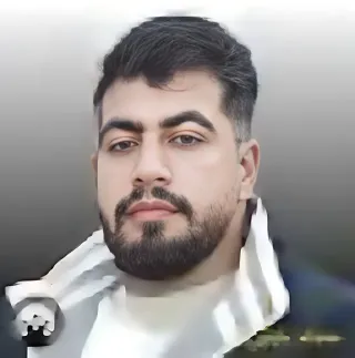 Sajjad Babaei