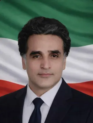 Davood Safaei