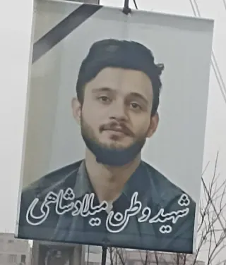 میلاد شاهی