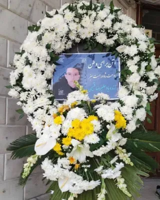 Alireza Ghasimi