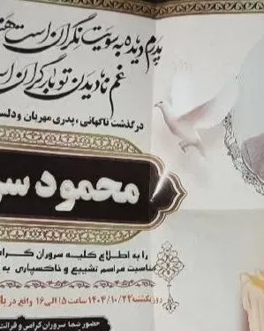 Mahmoud Seraji