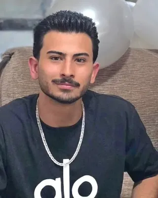 Pourya Hamzeh-ai