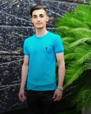 Mohammad Hossein Alikhani