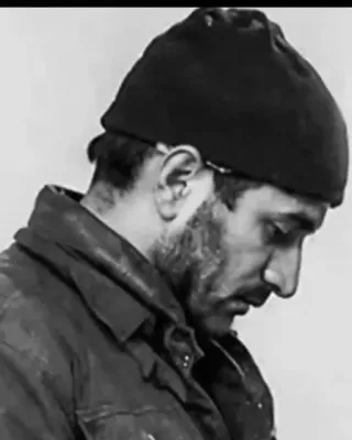 Hamidreza Zare