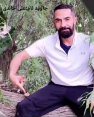 Ali Khaledi Lordegan