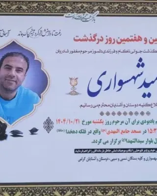 Omid Shahsavari