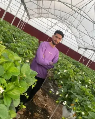 Samir Ahmadi