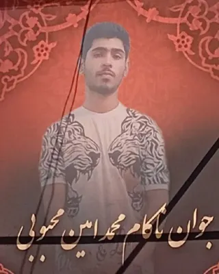 Mohammad Amin Mahboubi