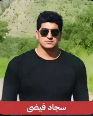 Sajjad Feizi