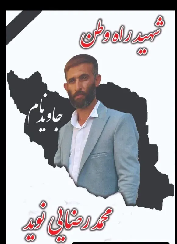 محمد رضایی‌نوید