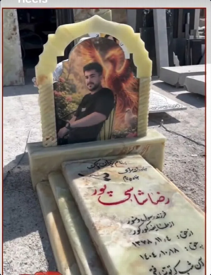 Reza Shasipour Gourkour