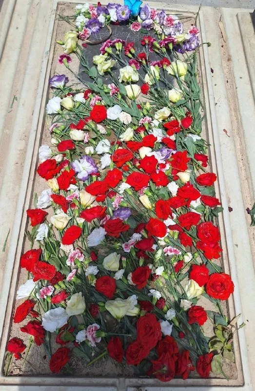 Tabassom Seifi