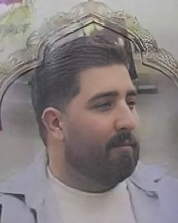 Hamid Reza Alizadeh
