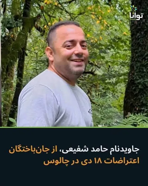 Hamed Shafiei Seshanbeh