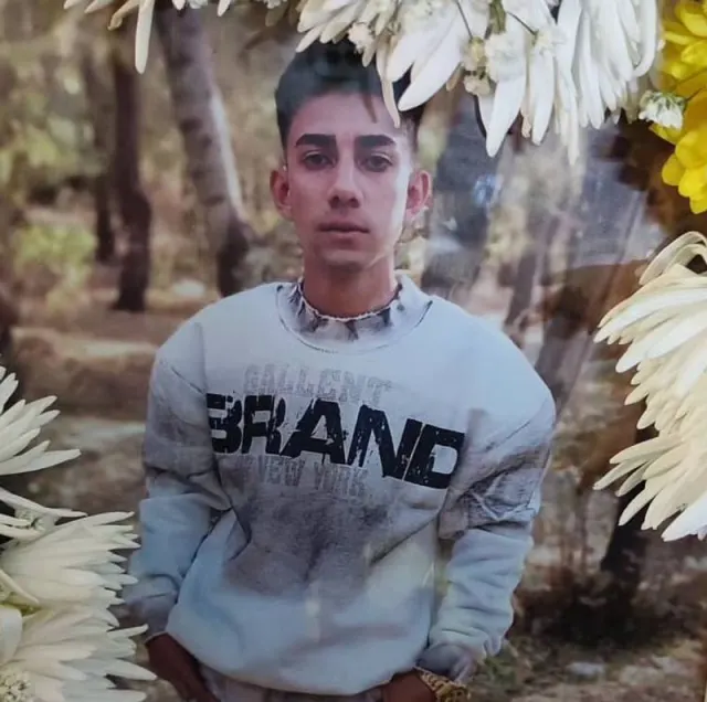 Amir Mehdi Nematinejad