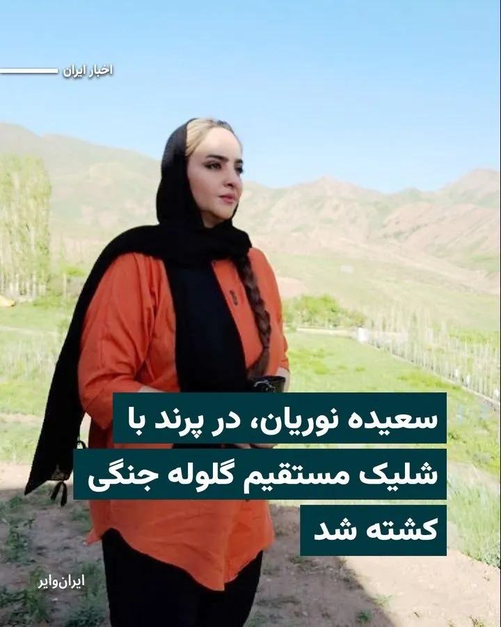 Saeedeh Nourian