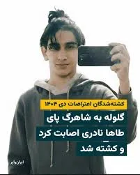 Taha Naderi Samiromi