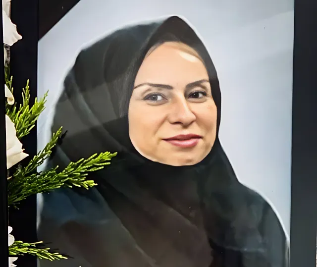 Hamideh Salarzadeh