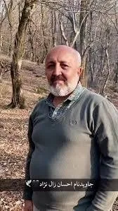 Ehsan Zal-nezhad