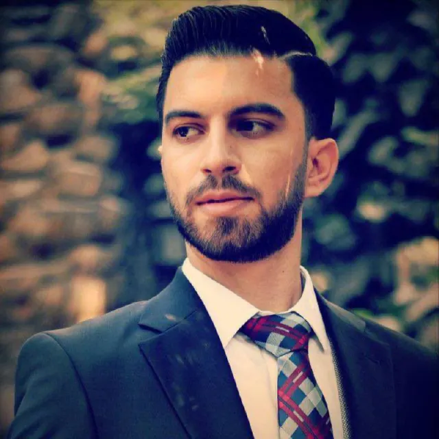 Seyed Hamed Hamidian