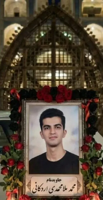 Mohammad Molamohammadi Ardekani