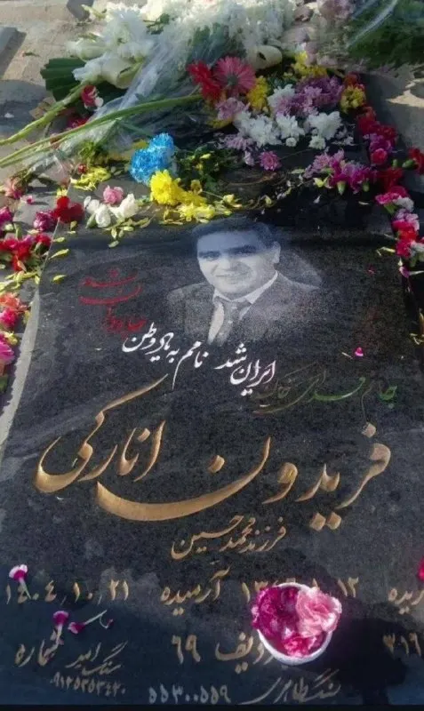 Fereydoun Anaraki