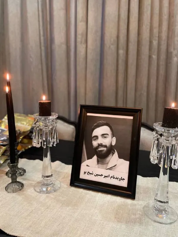 Amir Hossein Sheikhbou