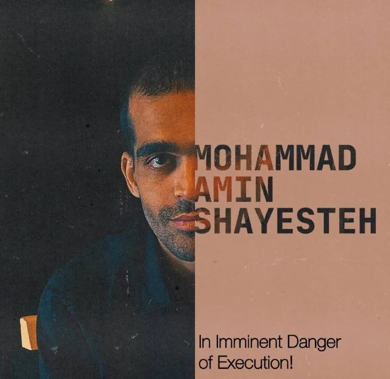 Mohammad Amin Mahdavi Shayesteh