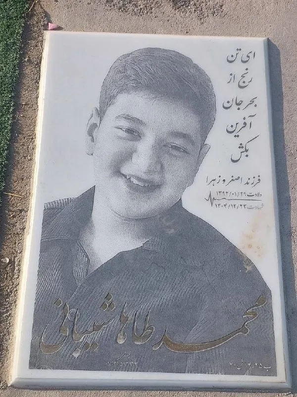 Mohammad Taha Sheibani
